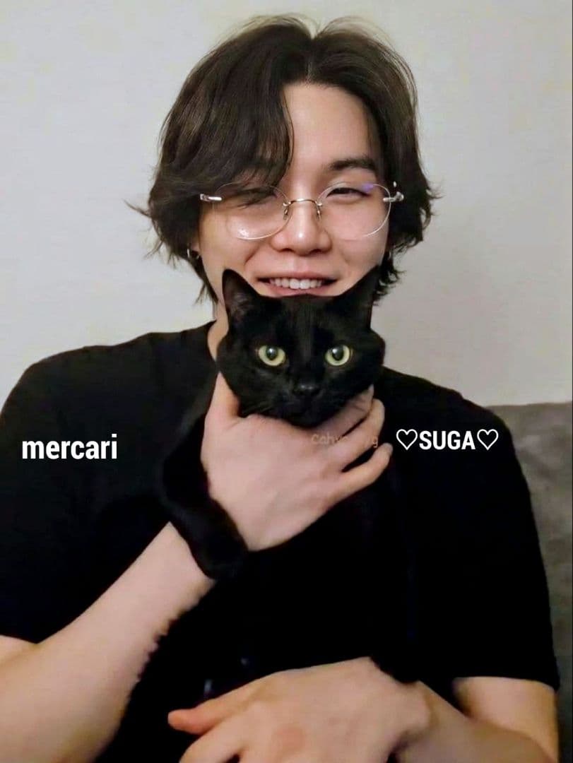 BTS ぬいぐるみ 10cm SUGA AgustD ユンギ テテ ジン ジミン