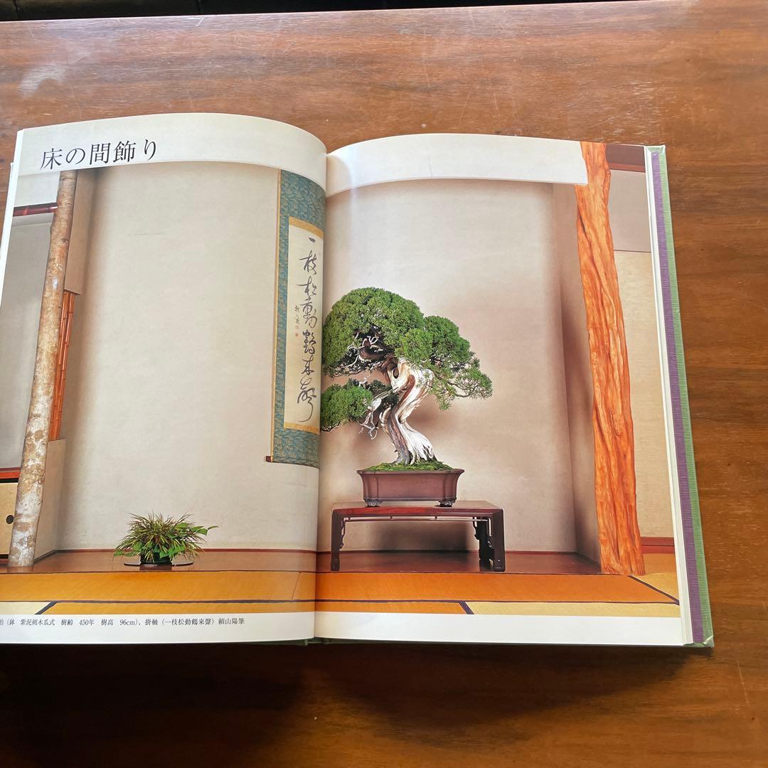 清香園美術盆栽　銘品盆栽集｜伝統園芸・名園資料