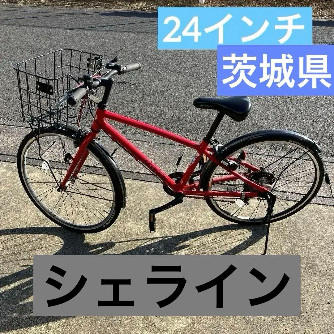 ブリジストン　24インチ　シェライン