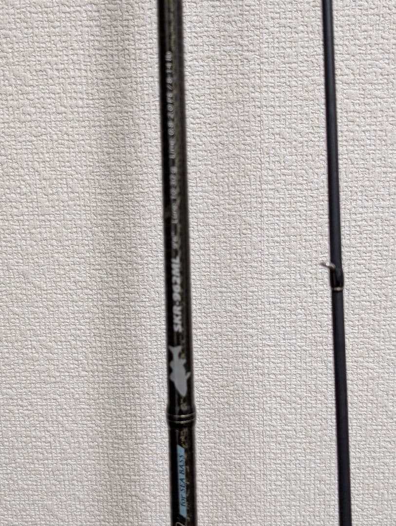 SKYROAD シーバスロッド ロッドケース付