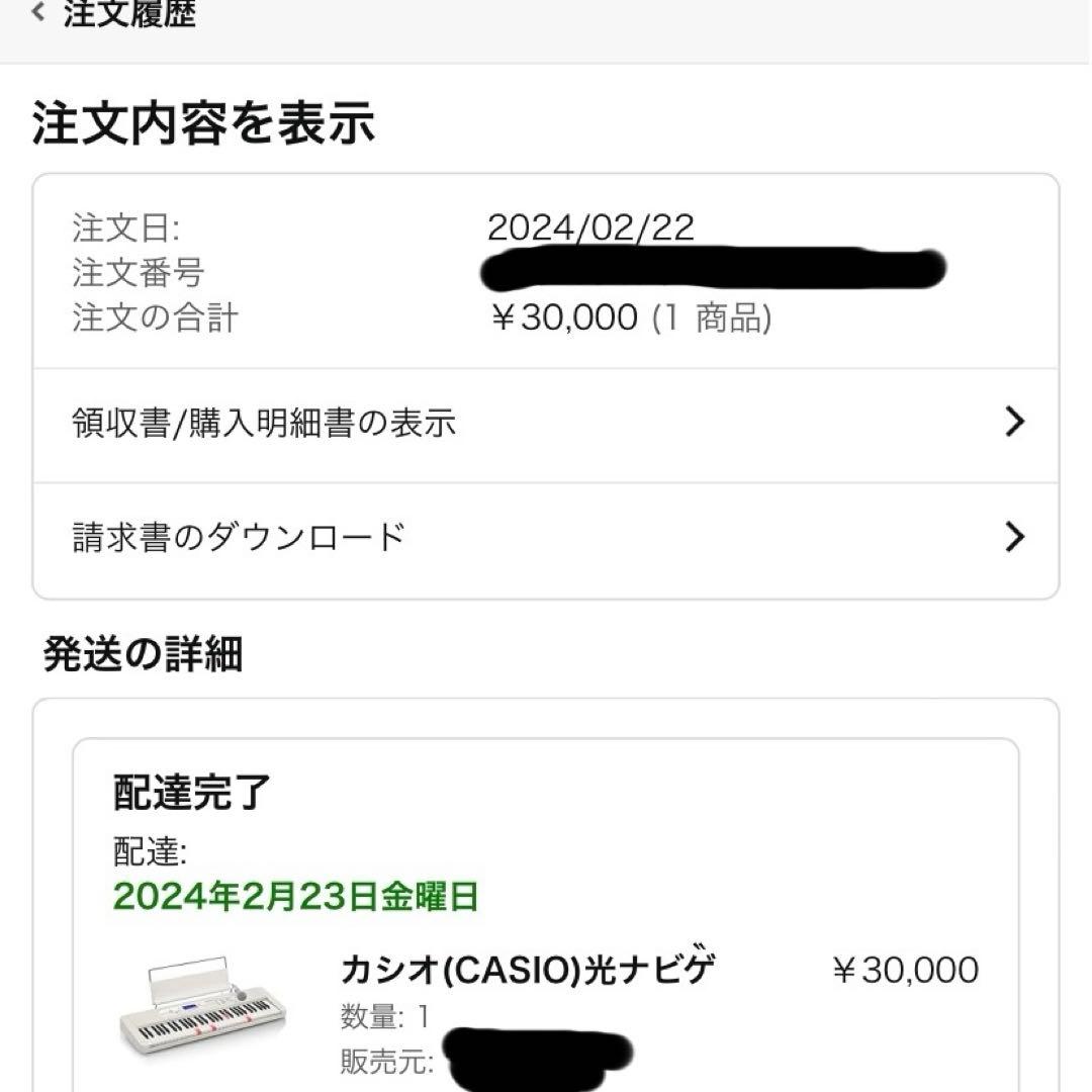 極美品★CASIO Casiotone 光ナビゲーション23年製　LK-520