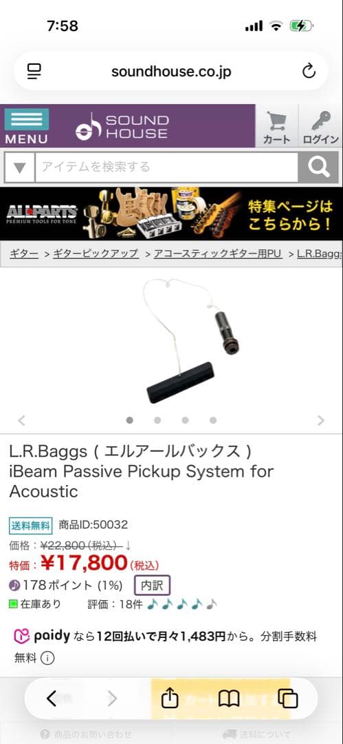 アヌエヌエ　M100 ピックアップ付き