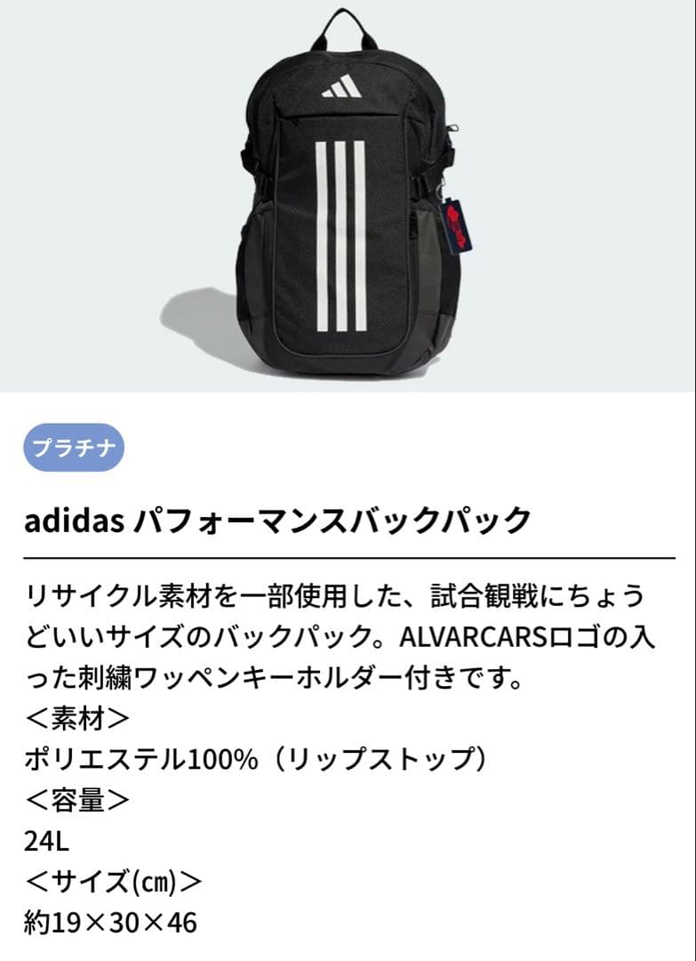 アルバルク東京　ファンクラブ　プラチナFC特典グッズ　adidas バックパック