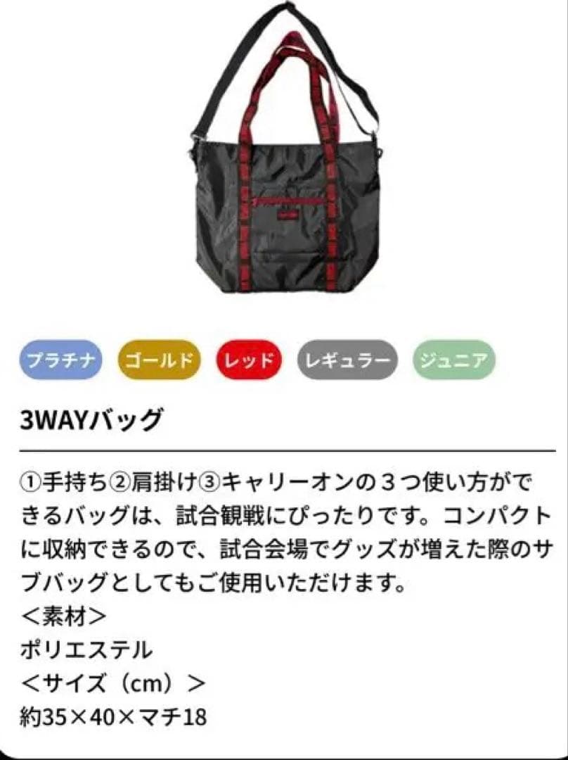 アルバルク東京　ファンクラブ　プラチナFC特典グッズ　adidas バックパック