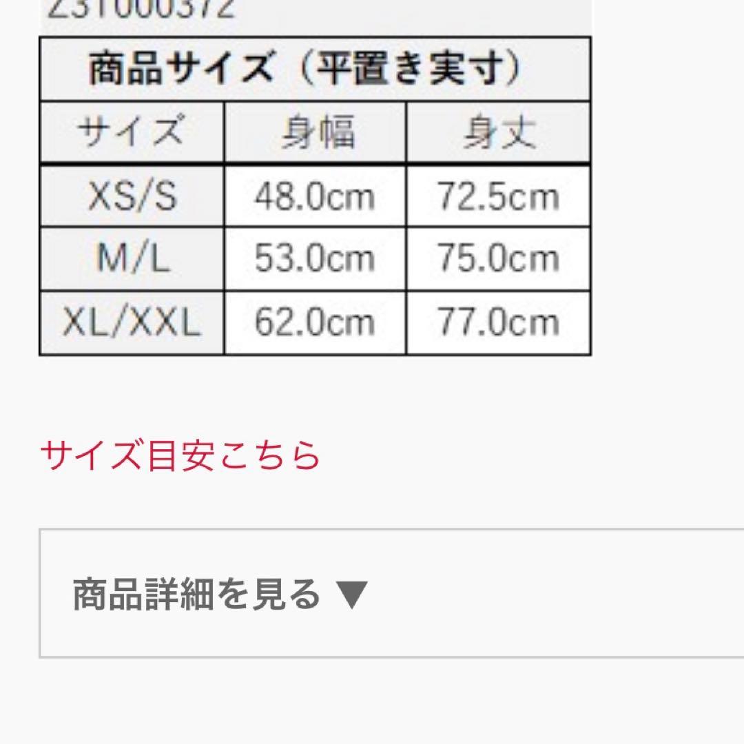 ズンバ最新作　Tシャツ　正規品　 XS/S
