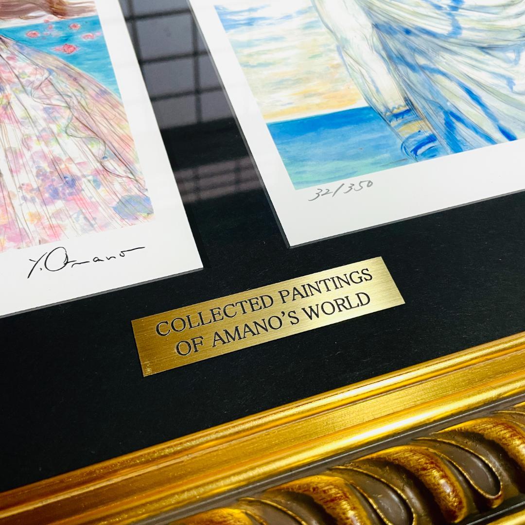 天野喜孝 COLLECTED PAINTINGS AMANO'S WORLD