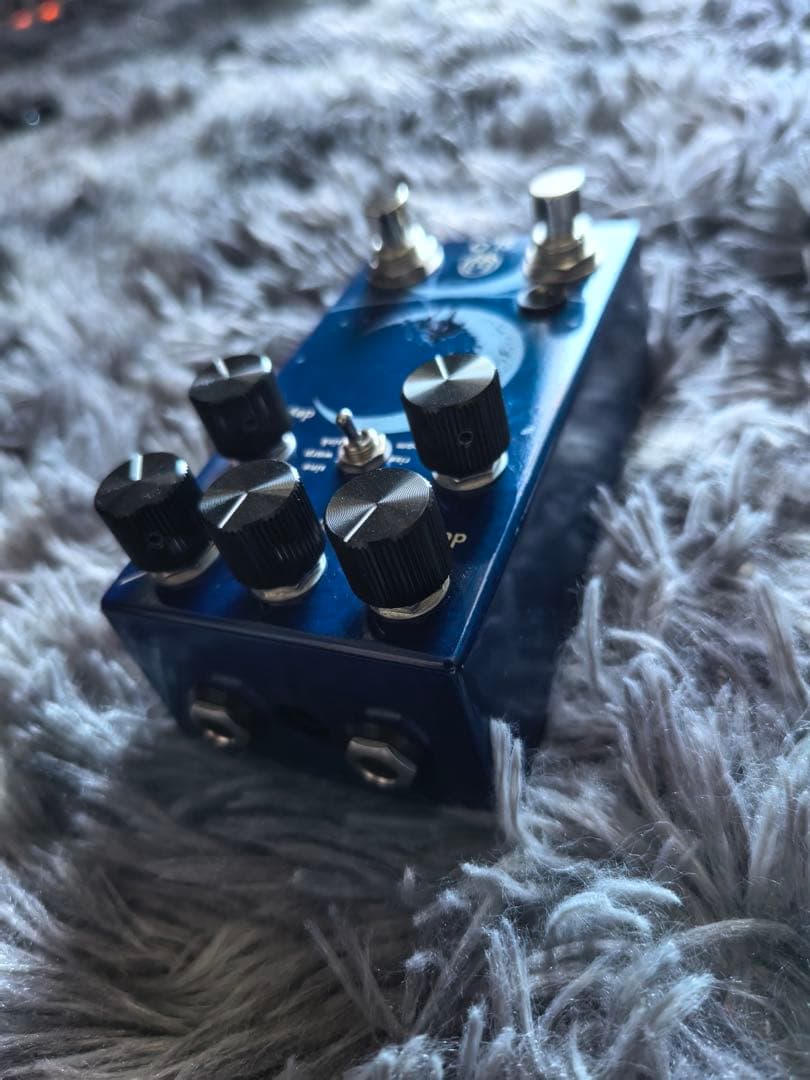 ギター WALRUS SLO