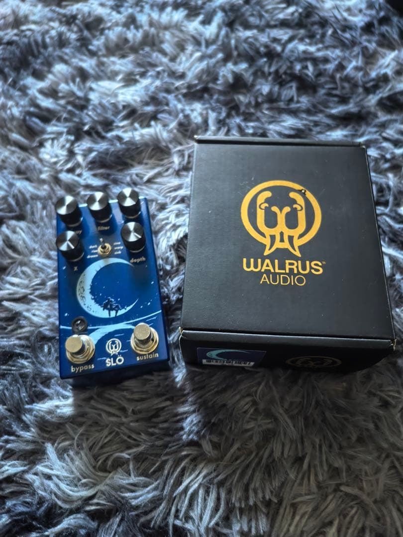 ギター WALRUS SLO