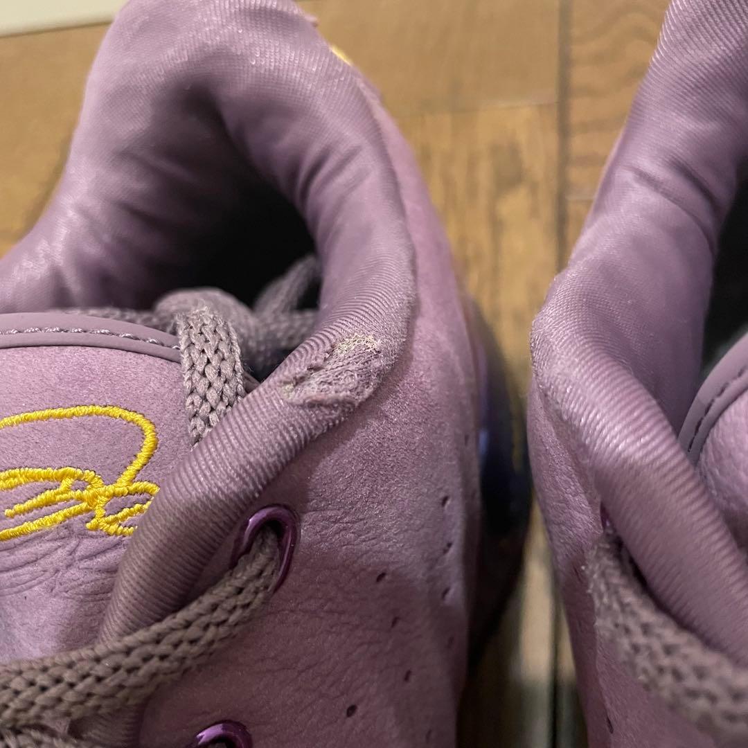 シューズ(男性用) Nike LeBron 21 \"Purple Rain\"