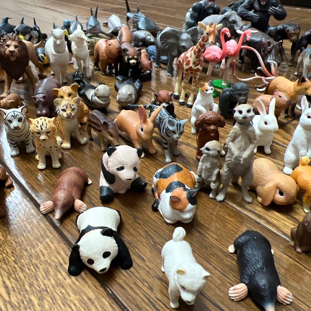 アニア　タカラトミー 動物・恐竜フィギュアセット