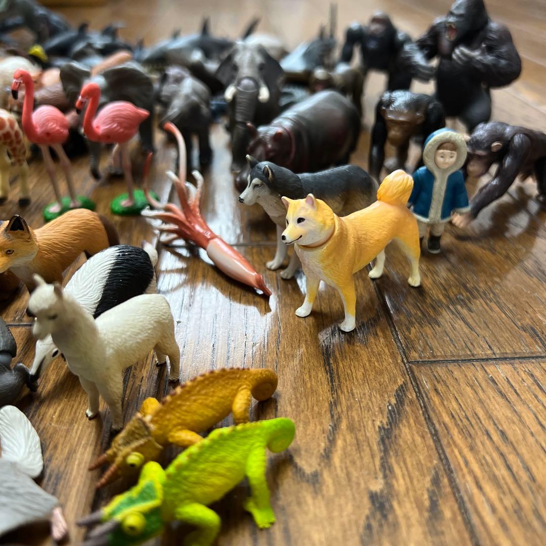 アニア　タカラトミー 動物・恐竜フィギュアセット