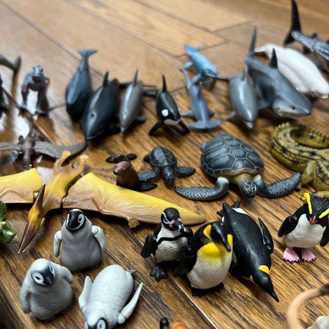 アニア　タカラトミー 動物・恐竜フィギュアセット