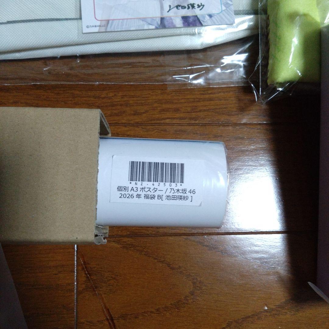 乃木坂46　池田瑛紗　福袋B　グッズのみ　クッション　うちわ　バッグ
