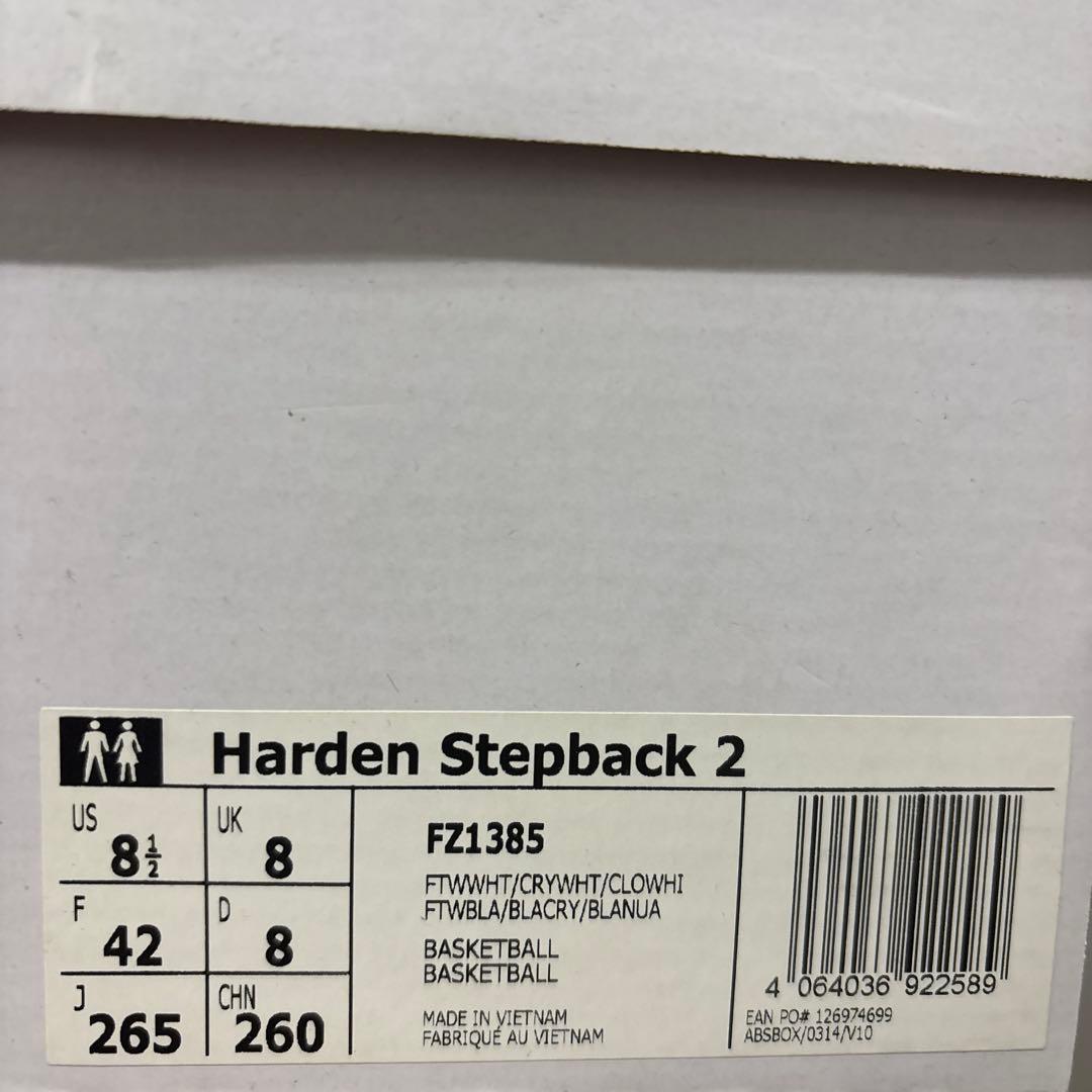 シューズ(男性用) Harden stepback2