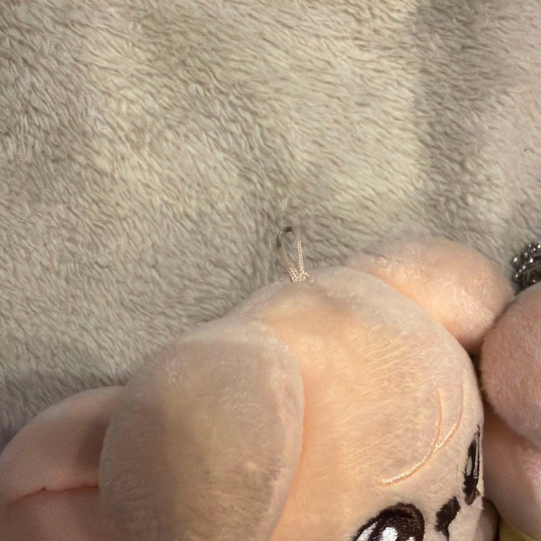 パピーム　スキズ　straykids スンミン　ぬい　セット