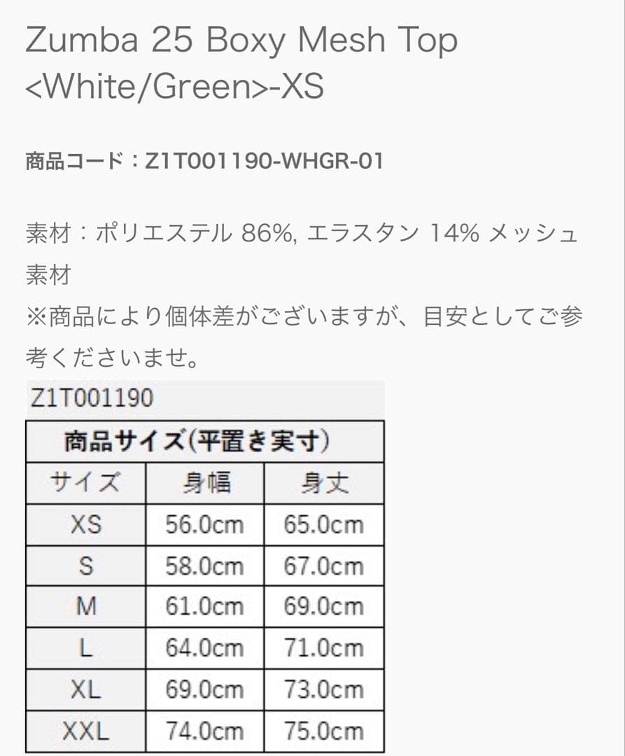ZUMBA®️正規品　 メッシュオーバーサイズTシャツ