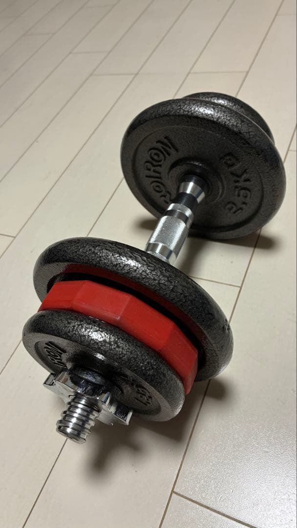 PROIRON社製・wolfyokダンベル 10kg 2個セット送料込