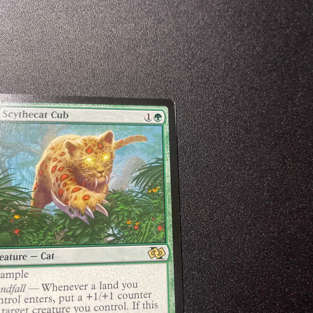 MTG 英語版 大鎌猫の仔 Scythecat Cub ①