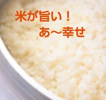 【やっぱり飯が旨い！】ユニフレーム キャンプ羽釜 3合炊き　送料込み