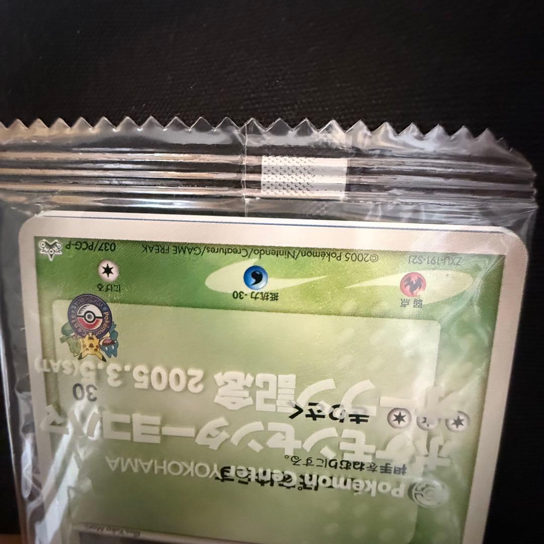 ポケモンセンターヨコハマ キモリ