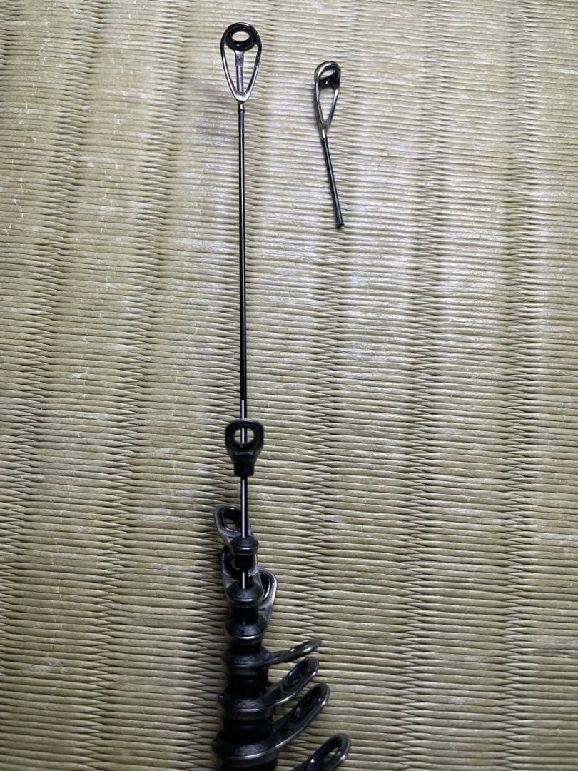 磯竿ＩＮＴEＳSＡ