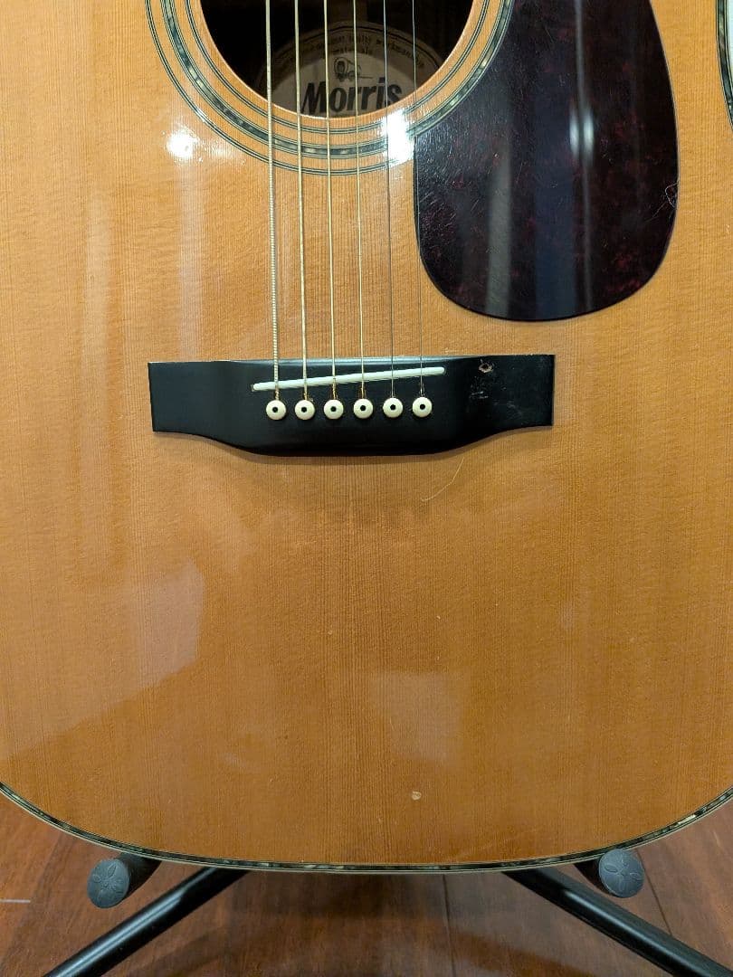 Morris W-35 アコースティックギター