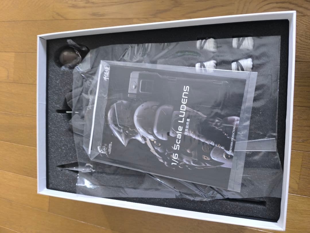 千値練　LUDENS 1/6　コジプロ　ルーデンス
