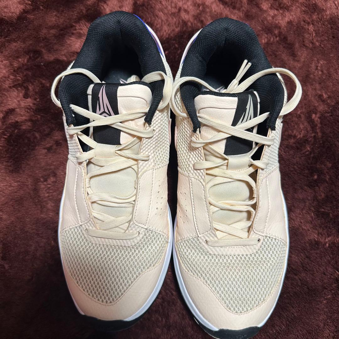 シューズ(男性用) Nike JA1 29cm