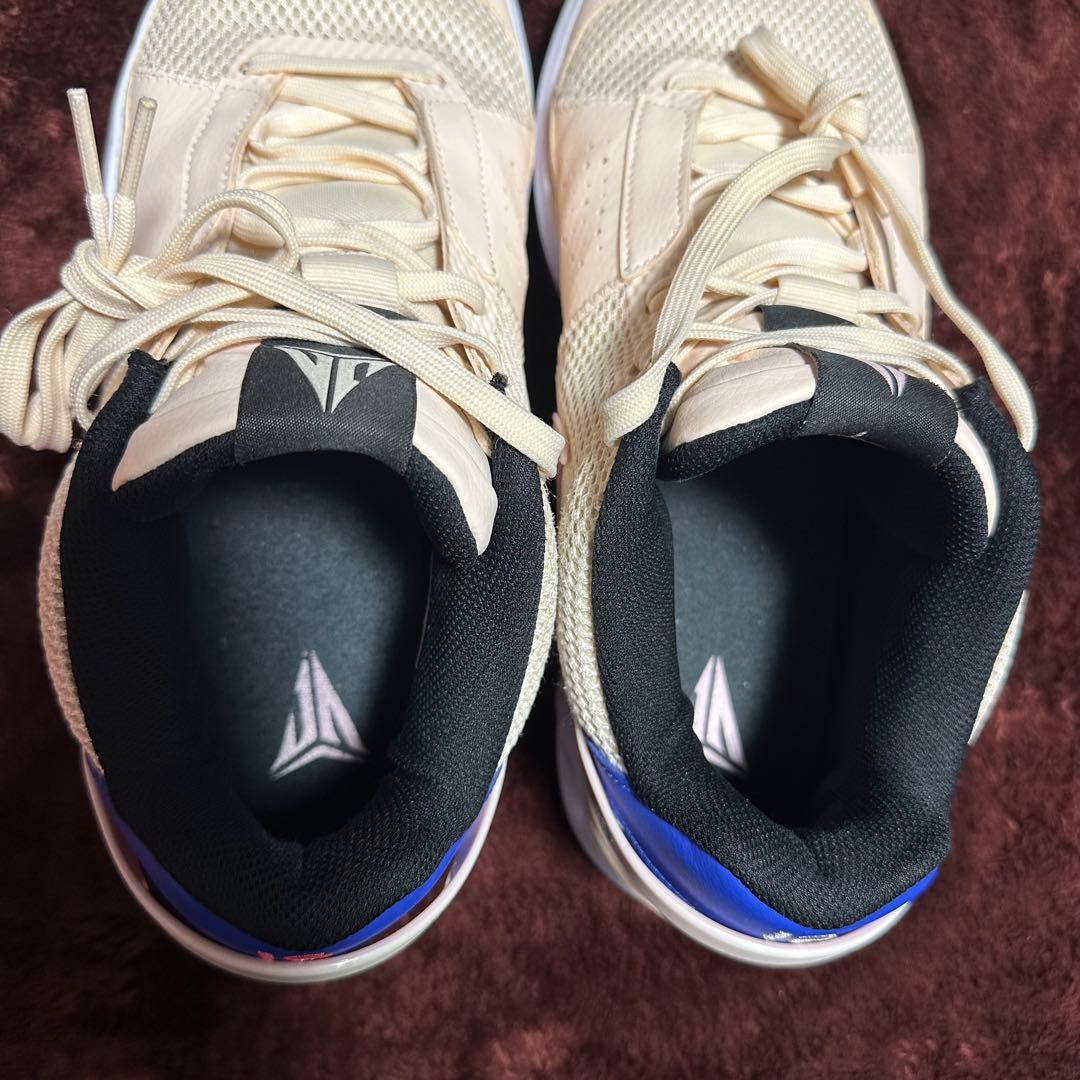 シューズ(男性用) Nike JA1 29cm