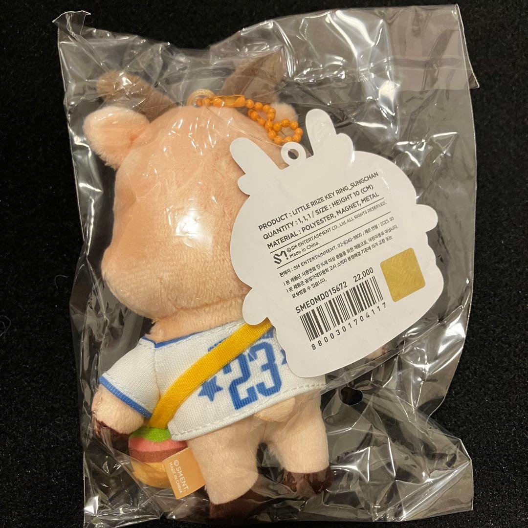 【新品未開封】RIIZE 10cm KEY RING ソンチャン ウラッバム