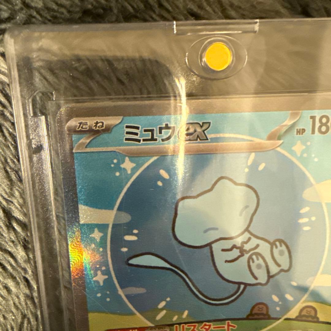 ミュウ　ＥＸ　SAR