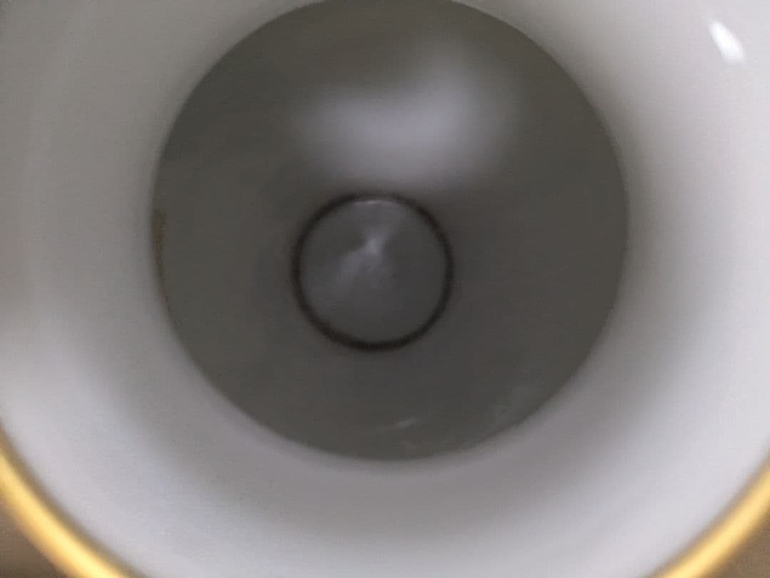 フランクリン ポーセリン The Meadowland Bird Vase