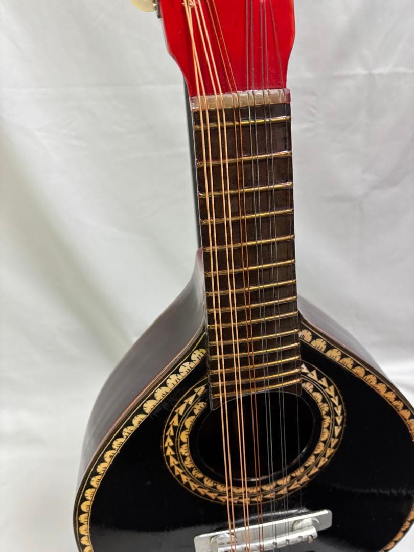 弦楽器 Oscar Schmidt Stella 12-string (1920s)