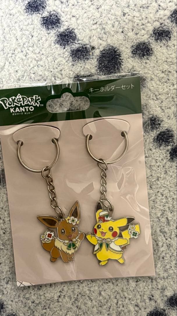 ポケパークカントー　 ピカチュウ イーブイ ピンバッジ キー　御三家　3個セット