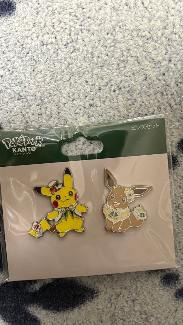ポケパークカントー　 ピカチュウ イーブイ ピンバッジ キー　御三家　3個セット