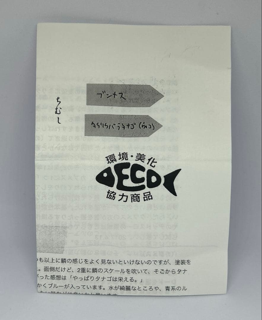 痴虫　ブンメス　　チムシ