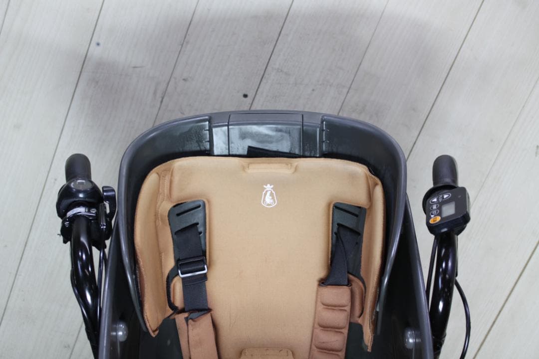 ブリヂストンbikke POLAR e BP0D38 20インチ 8AH 3段