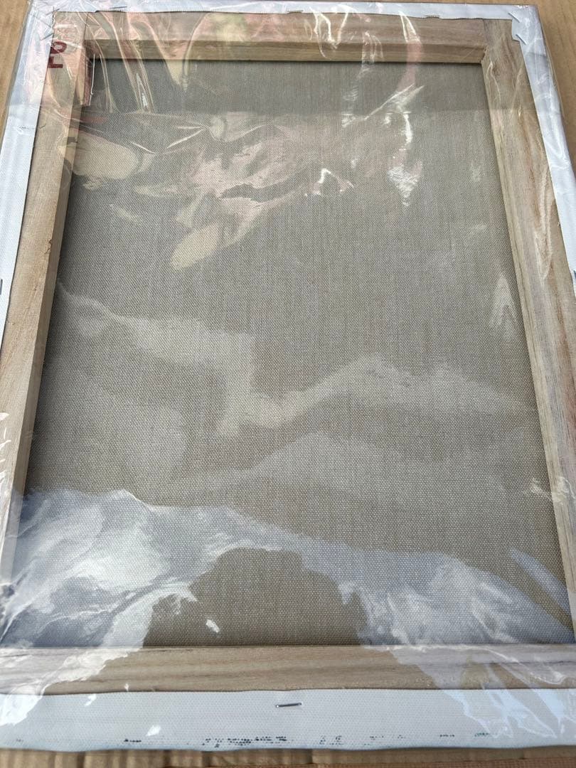 匿名配送⭐︎スプレーアート絵伝F 6 (410mm×318mm)原画キャンバス