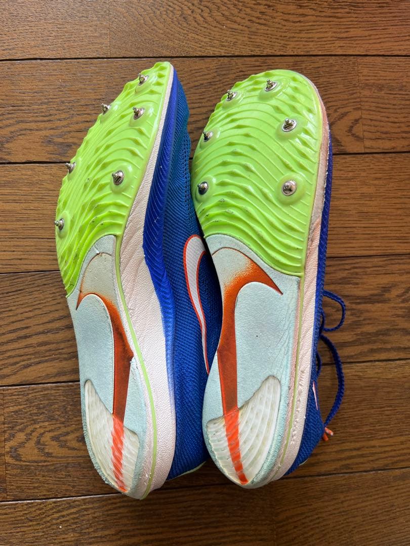NIKE ドラゴンフライ　25.0cm