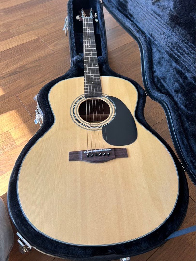 Farida アコースティックギター ハードケース付き