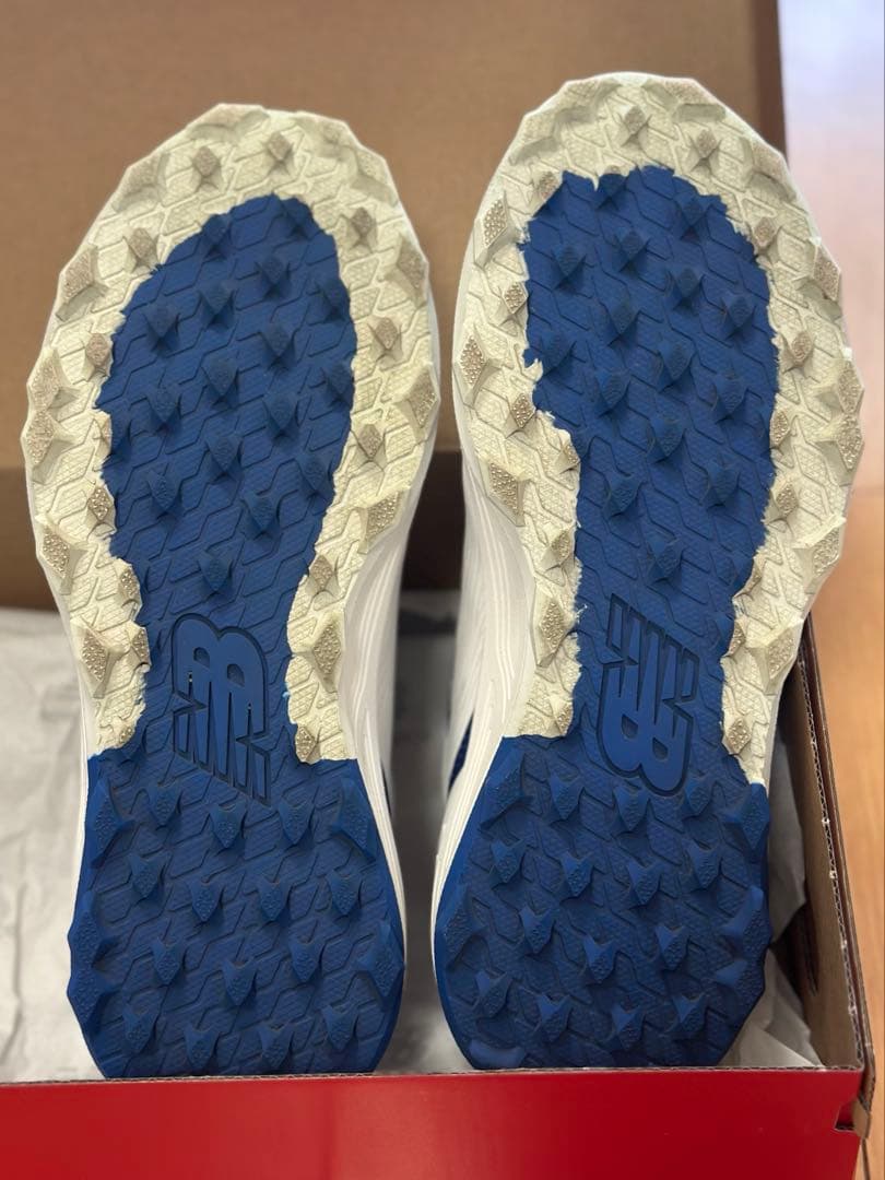 ニューバランスFresh Foam X 2500 v5 SL Boa