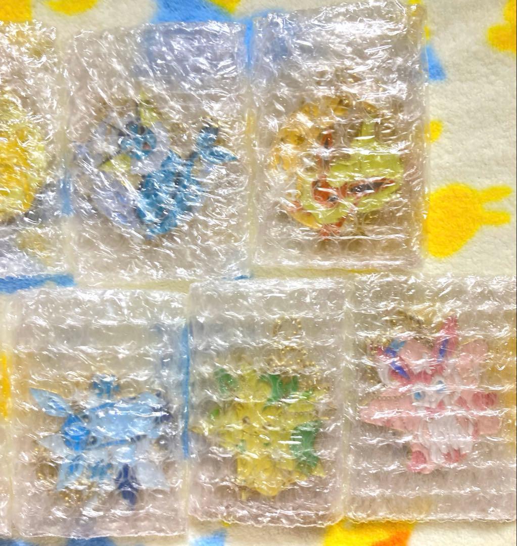 ポケモン　一番くじ　イーブイ　ブイズ　メタルチャーム　9点コンプ