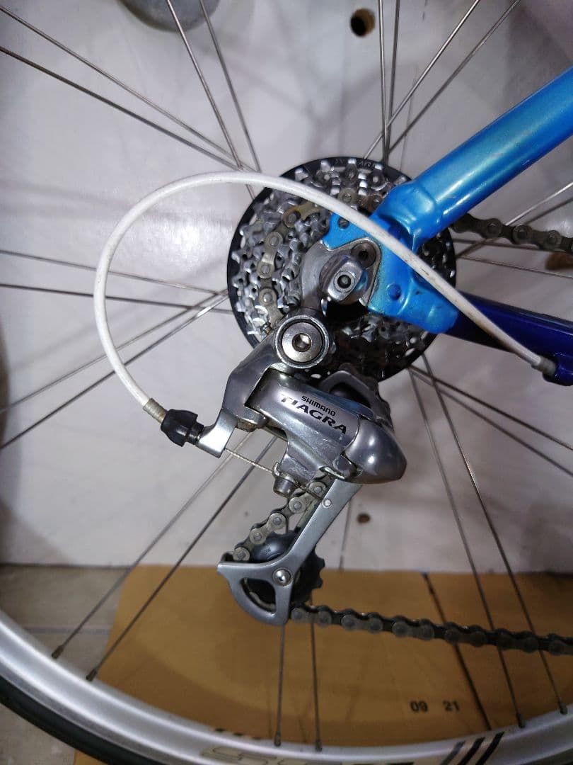 TREK 　WSD ウイメンズロードバイク