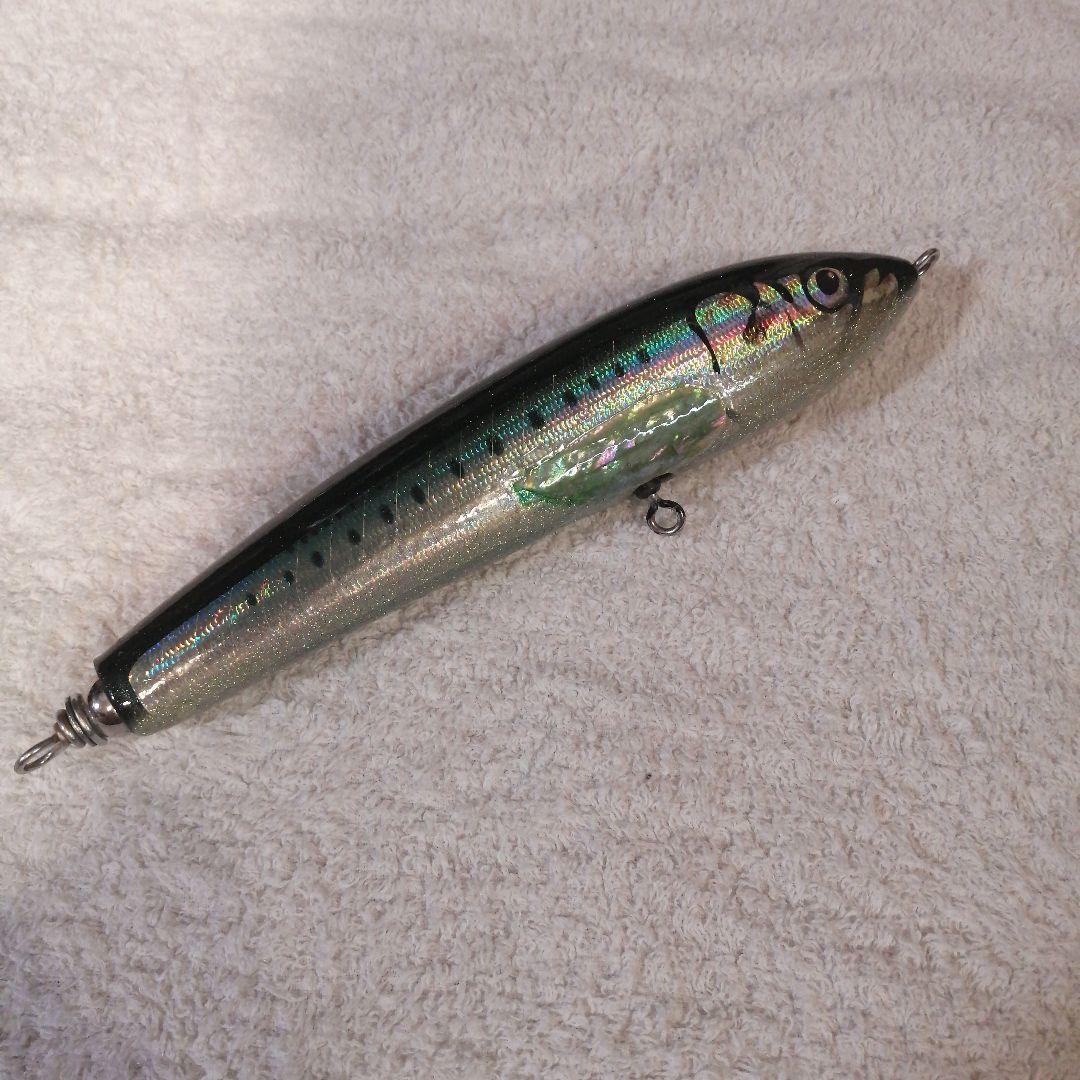 カーペンター　ブルーフィシュ60-170