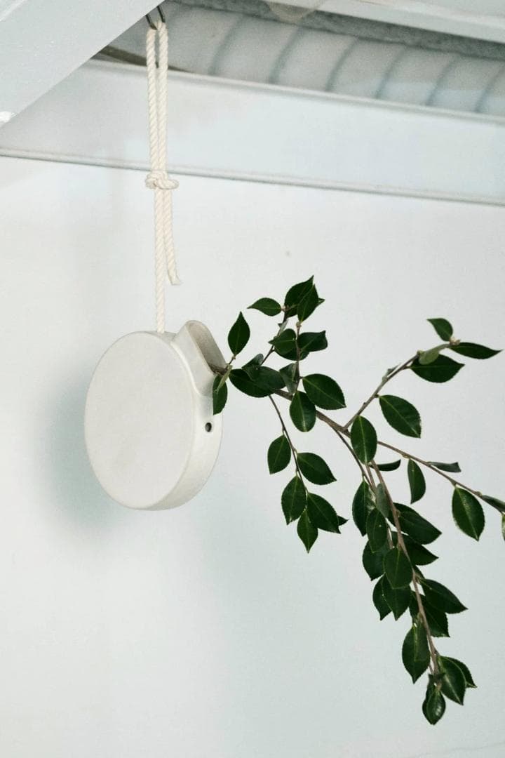 NOTA SHOP　VASE write series / rope