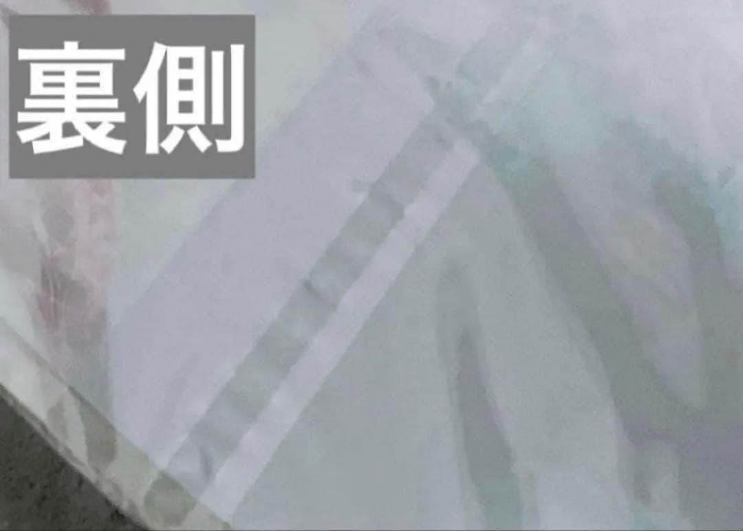 【新品】 Acid Black Cherry クリアポスター / ポスター 3点