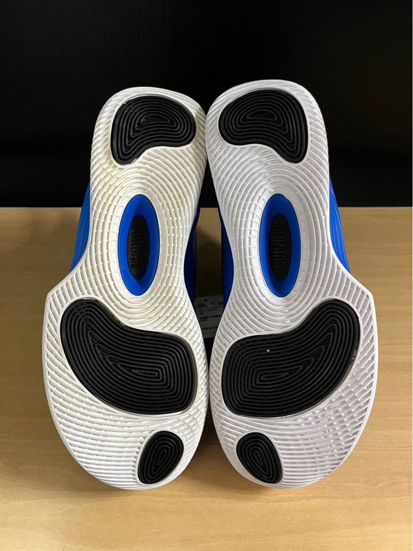 JORDAN ULTRA FLY 2 402カラー　25.0㎝