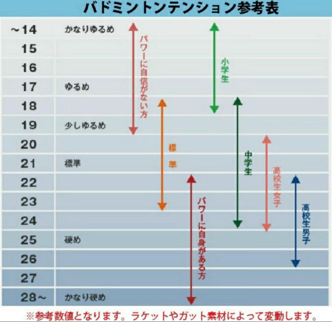 Babolat バドミントン ラケット サテライト バボラ Lite 4U