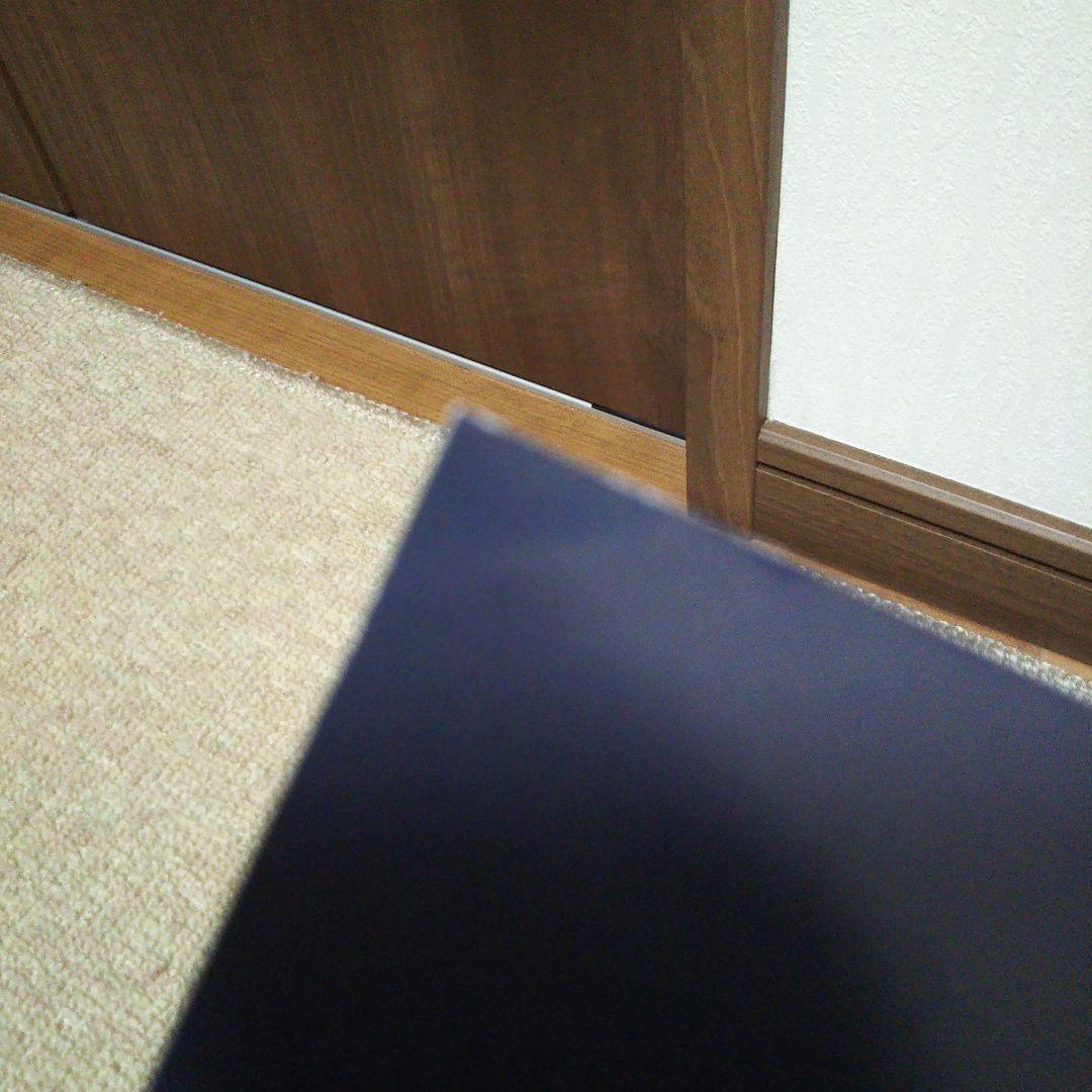 AdaNous 直筆サイン入りポスター てのひらえる