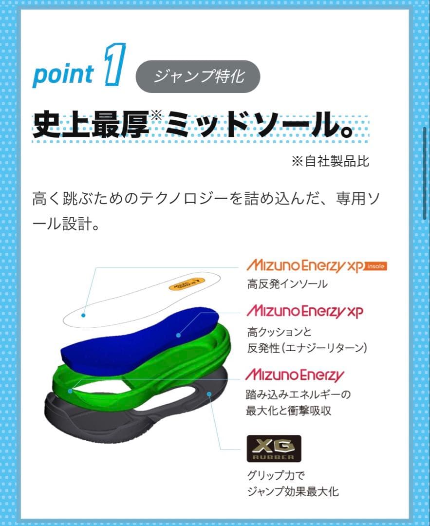 【未使用】値引不可 ミズノネオジャンプ バレーボールシューズ サイズ28.0cm